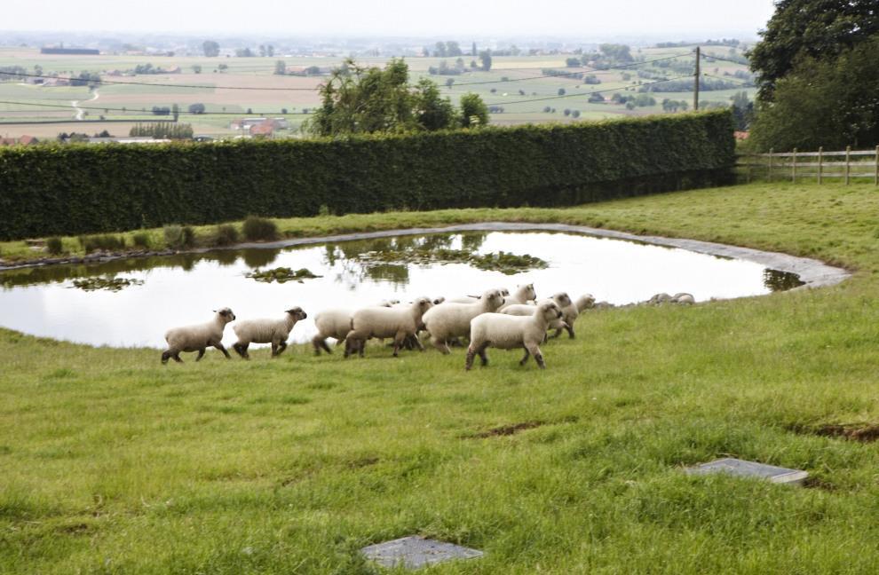 Vacation Home Landgoed De Monteberg Dranouter 部屋 写真