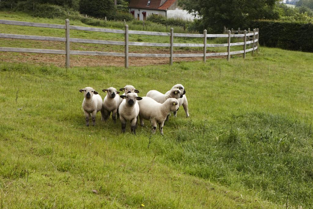 Vacation Home Landgoed De Monteberg Dranouter 部屋 写真